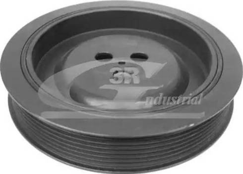 3RG 10308 - Poulie, vilebrequin droxauto.com