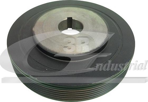 3RG 10205 - Poulie, vilebrequin droxauto.com