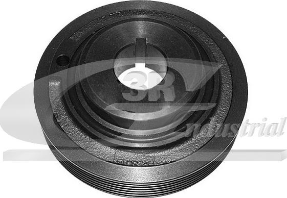 3RG 10208 - Poulie, vilebrequin droxauto.com