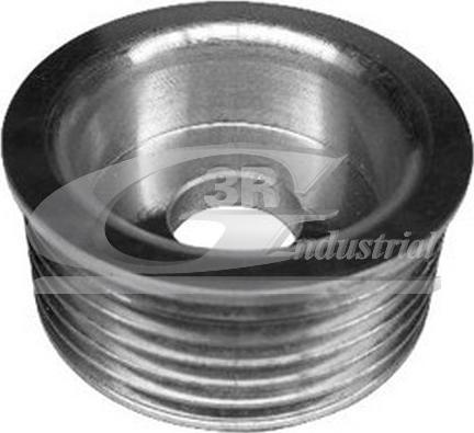 3RG 10224 - Poulie, alternateur droxauto.com