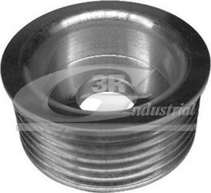 3RG 10221 - Poulie, alternateur droxauto.com