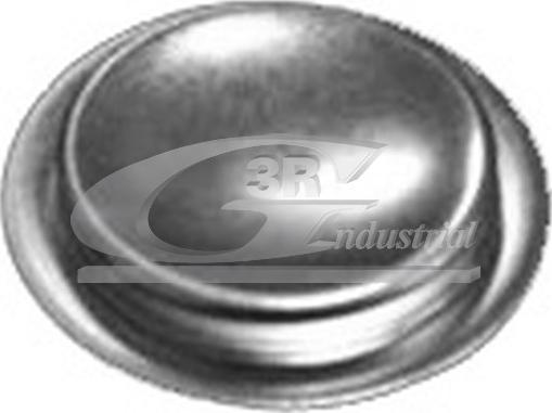 3RG 84051 - Bouchon, axe de culbuteurs-nez fileté droxauto.com