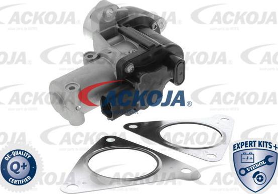 ACKOJA A53-63-0003 - Vanne EGR droxauto.com