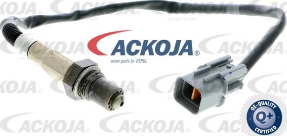 ACKOJA A53-76-0012 - Sonde lambda droxauto.com