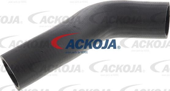 ACKOJA A52-9601 - Gaine de suralimentation droxauto.com