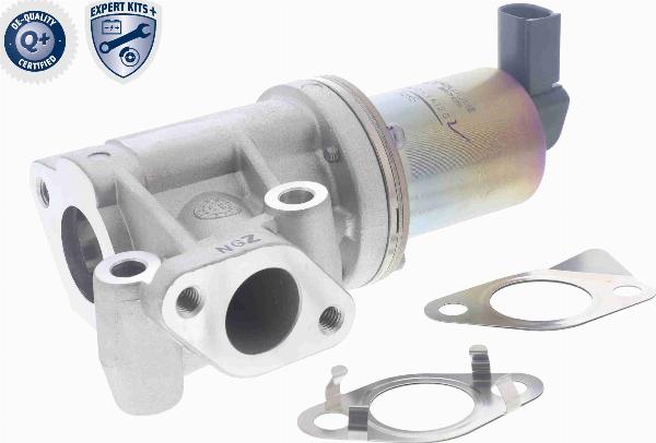 ACKOJA A52-63-0006 - Vanne EGR droxauto.com