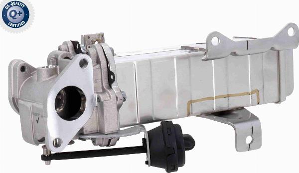 ACKOJA A52-63-0003 - Radiateur, réaspiration des gaz d'échappement droxauto.com