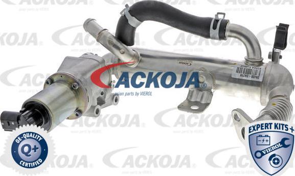 ACKOJA A52-63-0018 - Vanne EGR droxauto.com