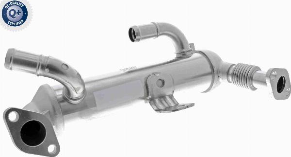 ACKOJA A52-63-0017 - Radiateur, réaspiration des gaz d'échappement droxauto.com