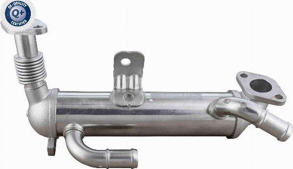 ACKOJA A52-63-0034 - Radiateur, réaspiration des gaz d'échappement droxauto.com