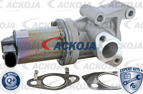 ACKOJA A52-63-0020 - Vanne EGR droxauto.com