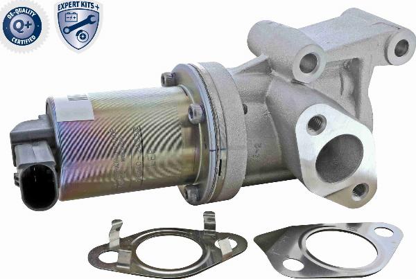 ACKOJA A52-63-0020 - Vanne EGR droxauto.com