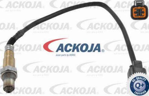 ACKOJA A52-76-0004 - Sonde lambda droxauto.com