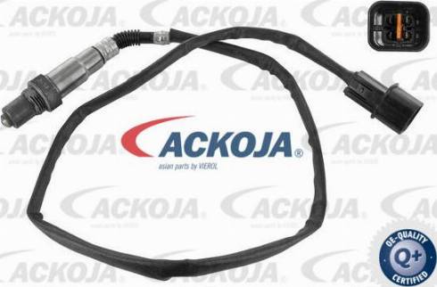 ACKOJA A52-76-0012 - Sonde lambda droxauto.com