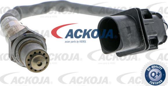 ACKOJA A53-76-0008 - Sonde lambda droxauto.com