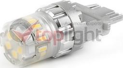 AE TOPLIGHT 503156 - Ampoule, feu clignotant droxauto.com