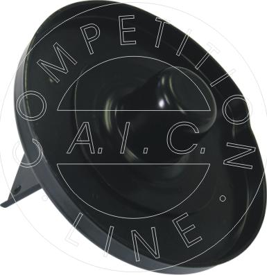 AIC 53192 - Patin de ressort droxauto.com