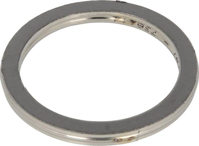 Ajusa 19006200 - Bague d'étanchéité, tuyau d'échappement droxauto.com