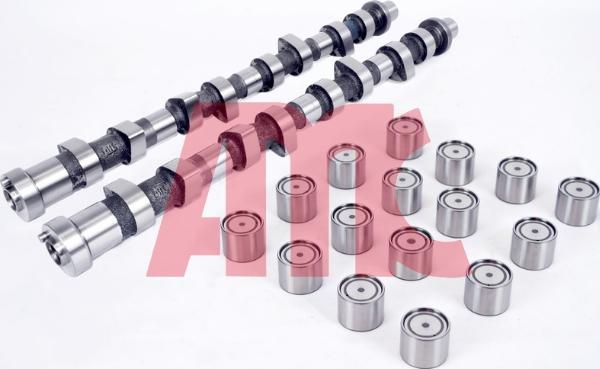 AMC 647276K - Jeu d'arbres à came droxauto.com