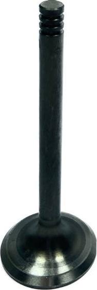 Amp PVWG005 - Soupape d'admission droxauto.com