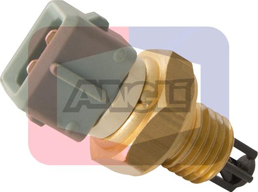 Angli 19017 - Capteur, température de l'air d'admission droxauto.com