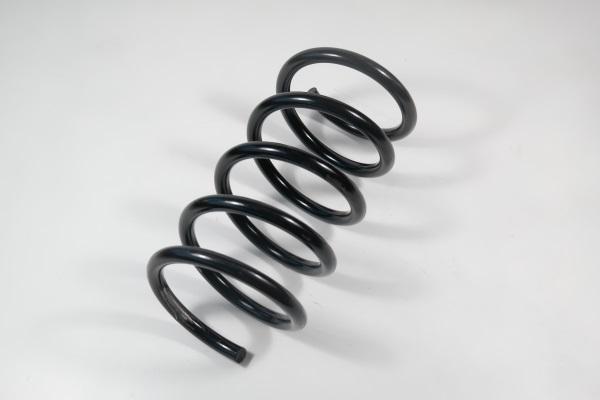 APEX 65222 - Ressort de suspension droxauto.com