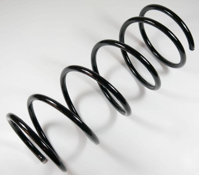 APEX 66973 - Ressort de suspension droxauto.com