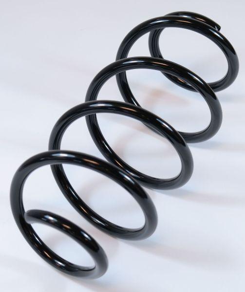 APEX 63755 - Ressort de suspension droxauto.com