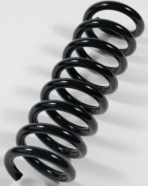 APEX 67460 - Ressort de suspension droxauto.com