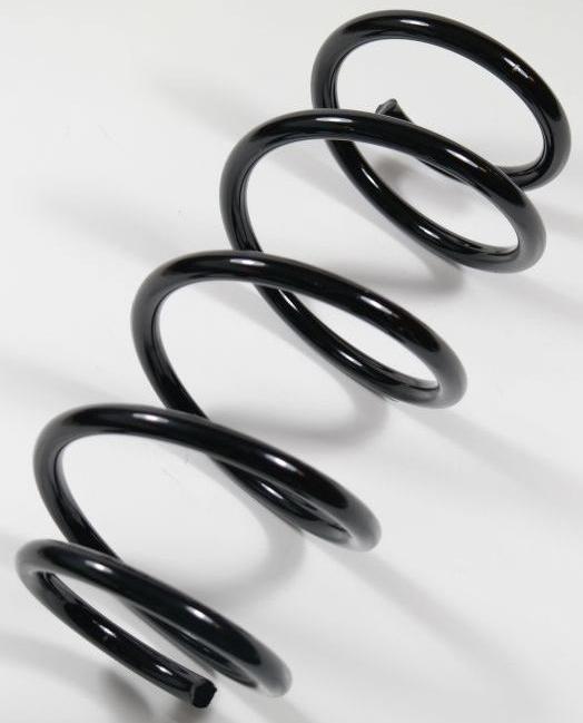 APEX 67254 - Ressort de suspension droxauto.com