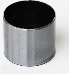 ASAM 55584 - Poussoir de soupape droxauto.com