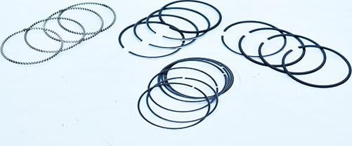 ASAM 55838 - Jeu de segments de pistons droxauto.com