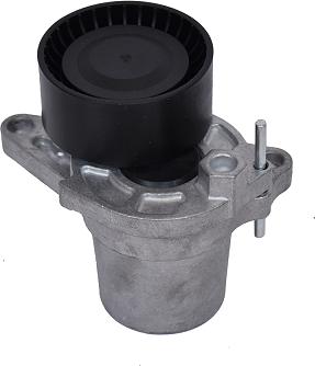 ASAM 101309 - Tendeur de courroie, courroie trapézoïdale à nervures droxauto.com