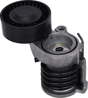 ASAM 101295 - Tendeur de courroie, courroie trapézoïdale à nervures droxauto.com