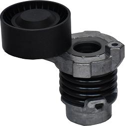 ASAM 101291 - Tendeur de courroie, courroie trapézoïdale à nervures droxauto.com