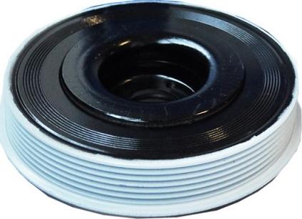 ASAM 80291 - Poulie, vilebrequin droxauto.com