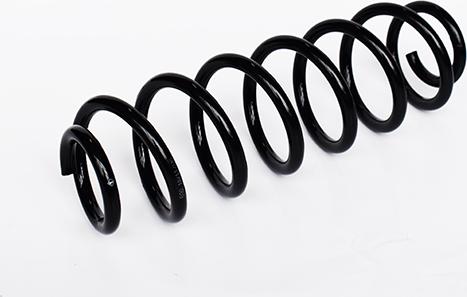 ASAM 73731 - Ressort de suspension droxauto.com