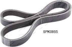 Ashika 112-5PK855 - Courroie trapézoïdale à nervures droxauto.com
