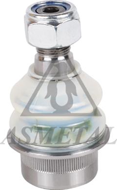 AS Metal 10MR0101 - Rotule de suspension droxauto.com