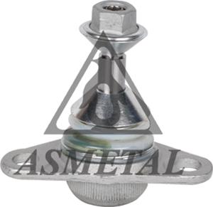 AS Metal 10VL0502 - Rotule de suspension droxauto.com