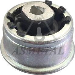 AS Metal 38RN5612 - Suspension, bras de liaison droxauto.com