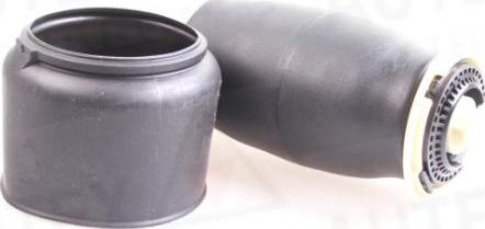 Autex 933067 - Ressort pneumatique, châssis droxauto.com