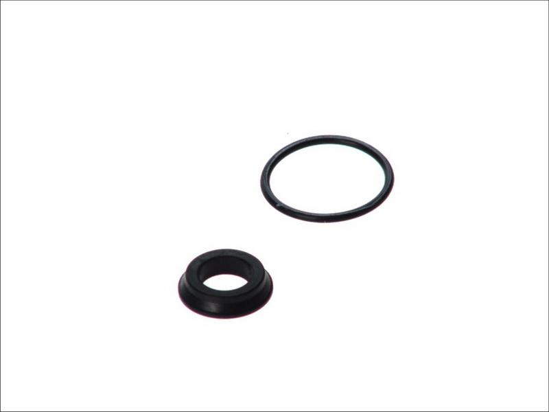 AUTOFREN SEINSA D1 714 - Kit d'assemblage, cylindre émetteur d'embrayage droxauto.com