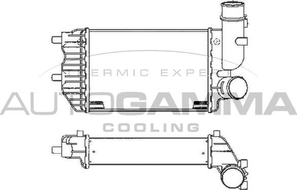 Autogamma 101888 - Intercooler, échangeur droxauto.com