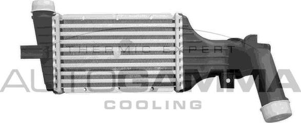 Autogamma 102553 - Intercooler, échangeur droxauto.com