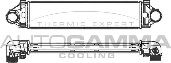 Autogamma 107133 - Intercooler, échangeur droxauto.com