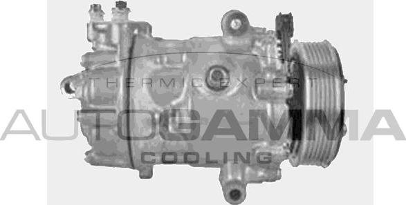 Autogamma 118609 - Compresseur, climatisation droxauto.com