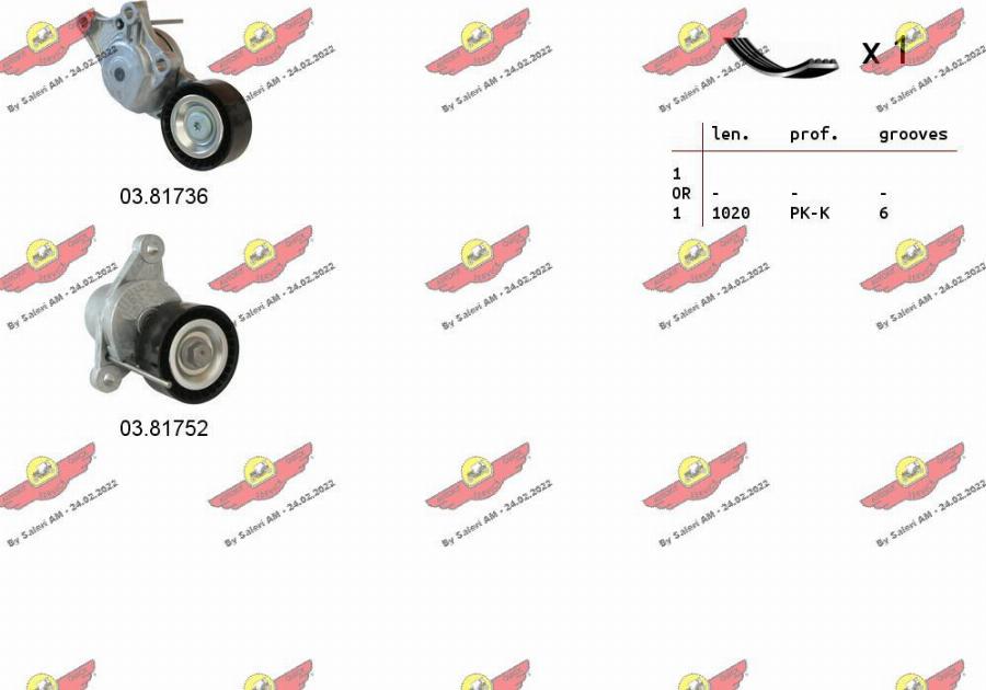 Autokit 06.0135 - Jeu de courroies trapézoïdales à nervures droxauto.com