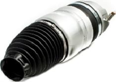 AUTO-SPEED PARTS 12500A2571 - Ressort pneumatique, châssis droxauto.com