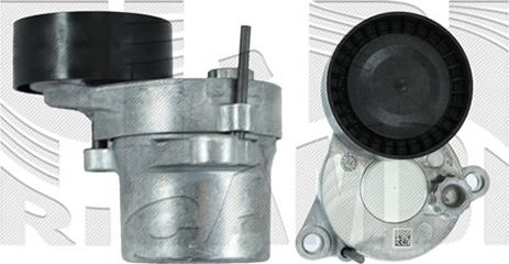 Autoteam A09964 - Tendeur de courroie, courroie trapézoïdale à nervures droxauto.com